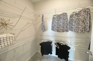 827 Creeping Fig Street (Rutland)