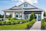 Bay Lake Farms - Saint Cloud, FL