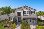 Chapel Crossings - Wesley Chapel, FL