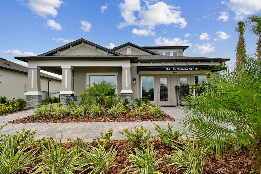 11855 Hilltop Farms Drive (Picasso Bonus)