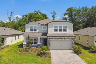 Alenza - Hilltop Point: Dade City, Florida - M/I Homes