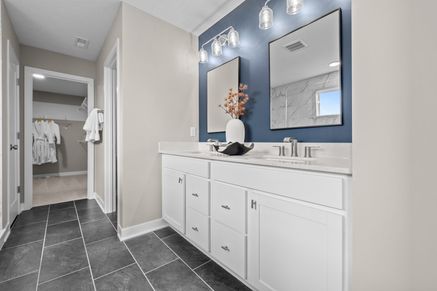 Owner's Bathroom Sink