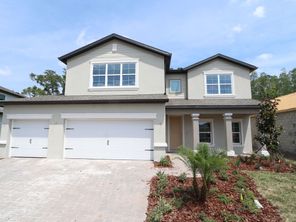 20313 Oriana Loop (Coronado II)