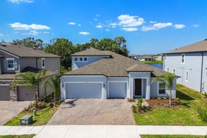 5050 Bromeliad Avenue (Barcello Bonus)
