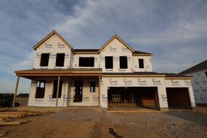 260 River Birch Drive (Lehigh)