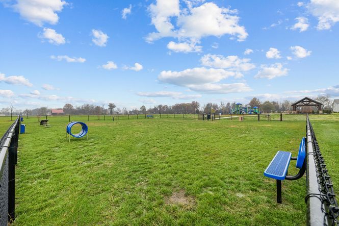 Dog Park