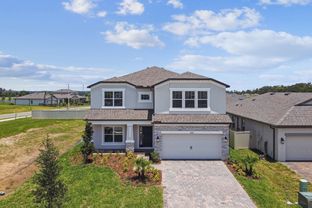 Alenza - Hilltop Point: Dade City, Florida - M/I Homes