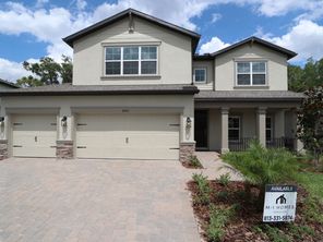 20313 Oriana Loop (Coronado II)