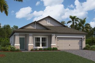 Newport II - Chapel Crossings: Wesley Chapel, Florida - M/I Homes
