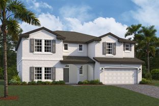 Palazzo - Chapel Crossings: Wesley Chapel, Florida - M/I Homes