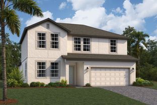 Salinas - Cobblestone: Zephyrhills, Florida - M/I Homes