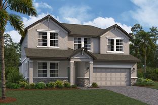 Salinas - Cobblestone: Zephyrhills, Florida - M/I Homes
