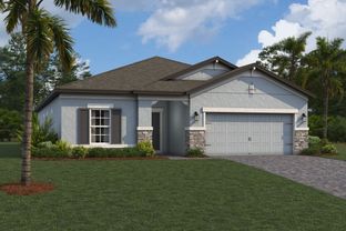 Madeira II - Connerton: Land O' Lakes, Florida - M/I Homes