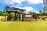 Spring Grove - Huntersville, NC