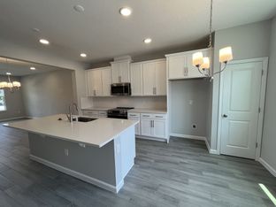 Rutland - Center Lake On The Park: Saint Cloud, Florida - M/I Homes