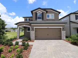 Willow - Chapel Crossings: Wesley Chapel, Florida - M/I Homes