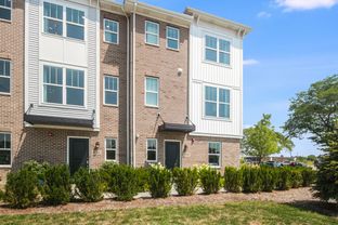 Ontario - Halston Market: Des Plaines, Illinois - M/I Homes