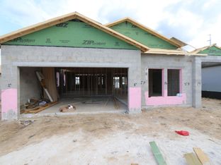Picasso - Hilltop Point: Dade City, Florida - M/I Homes