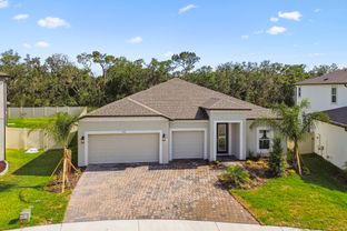 Barcello - Berry Bay: Wimauma, Florida - M/I Homes