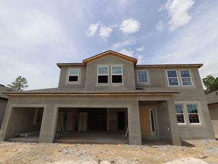 Mira Lago - Avalon West: Spring Hill, Florida - M/I Homes