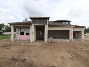 Corina III Bonus - Anderson Snow Estates: Spring Hill, Florida - M/I Homes