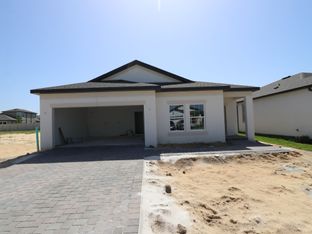 Picasso - Anderson Snow Estates: Spring Hill, Florida - M/I Homes