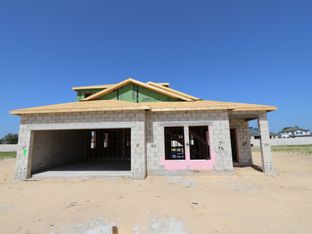 Picasso Bonus - Anderson Snow Estates: Spring Hill, Florida - M/I Homes
