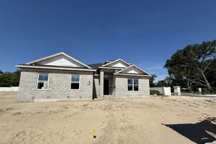 Corina Xl Sl - Willow Run: Apopka, Florida - M/I Homes