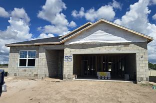 Piedmont - Bay Lake Farms: Saint Cloud, Florida - M/I Homes