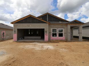 Picasso - Hilltop Point: Dade City, Florida - M/I Homes