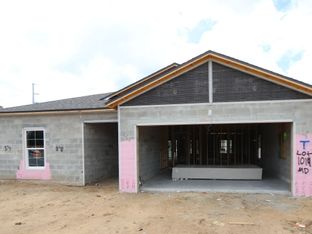 Sentinel - Hilltop Point: Dade City, Florida - M/I Homes
