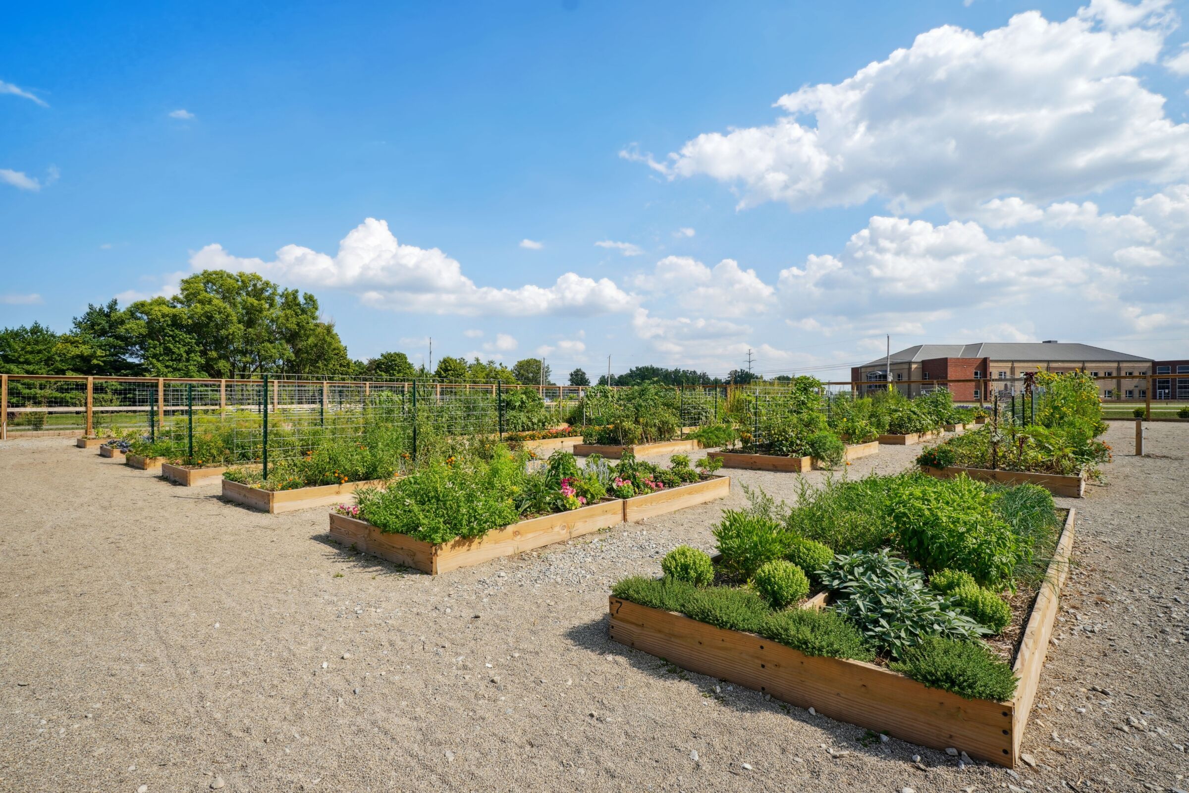 Community Gardens