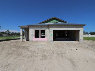 Picasso - Anderson Snow Estates: Spring Hill, Florida - M/I Homes