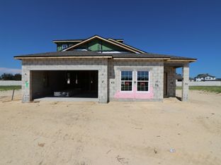 Picasso Bonus - Anderson Snow Estates: Spring Hill, Florida - M/I Homes