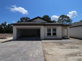 Picasso - Avalon West: Spring Hill, Florida - M/I Homes