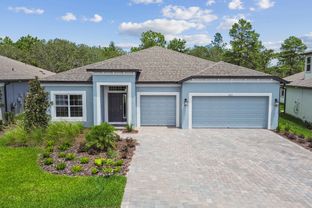 Corina II - Anderson Snow Estates: Spring Hill, Florida - M/I Homes