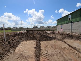 Salinas - Cobblestone: Zephyrhills, Florida - M/I Homes