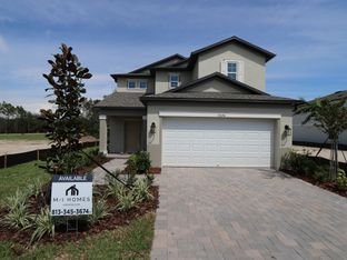 Santa Cruz - Meadow Oaks: Hudson, Florida - M/I Homes