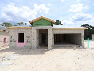 Marque - Avalon West: Spring Hill, Florida - M/I Homes