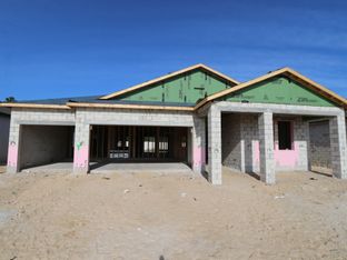 Corina III - Anderson Snow Estates: Spring Hill, Florida - M/I Homes