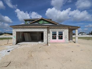 Picasso Bonus - Anderson Snow Estates: Spring Hill, Florida - M/I Homes