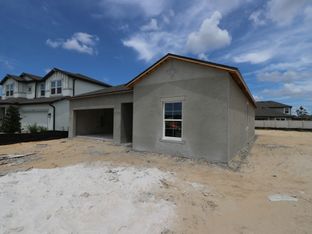 Monet - Anderson Snow Estates: Spring Hill, Florida - M/I Homes