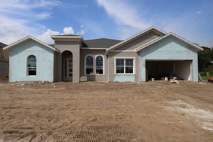Brookhaven Fl - Willow Run: Apopka, Florida - M/I Homes