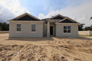 Corina Xl Sl - Willow Run: Apopka, Florida - M/I Homes