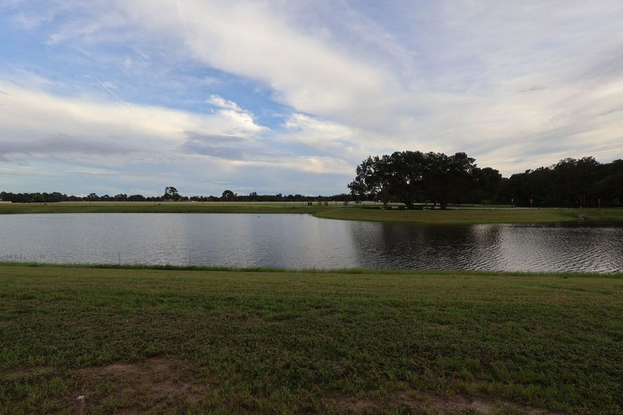 17030 Overstory Road (Grandview Sl)