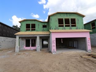 Alenza - Hilltop Point: Dade City, Florida - M/I Homes