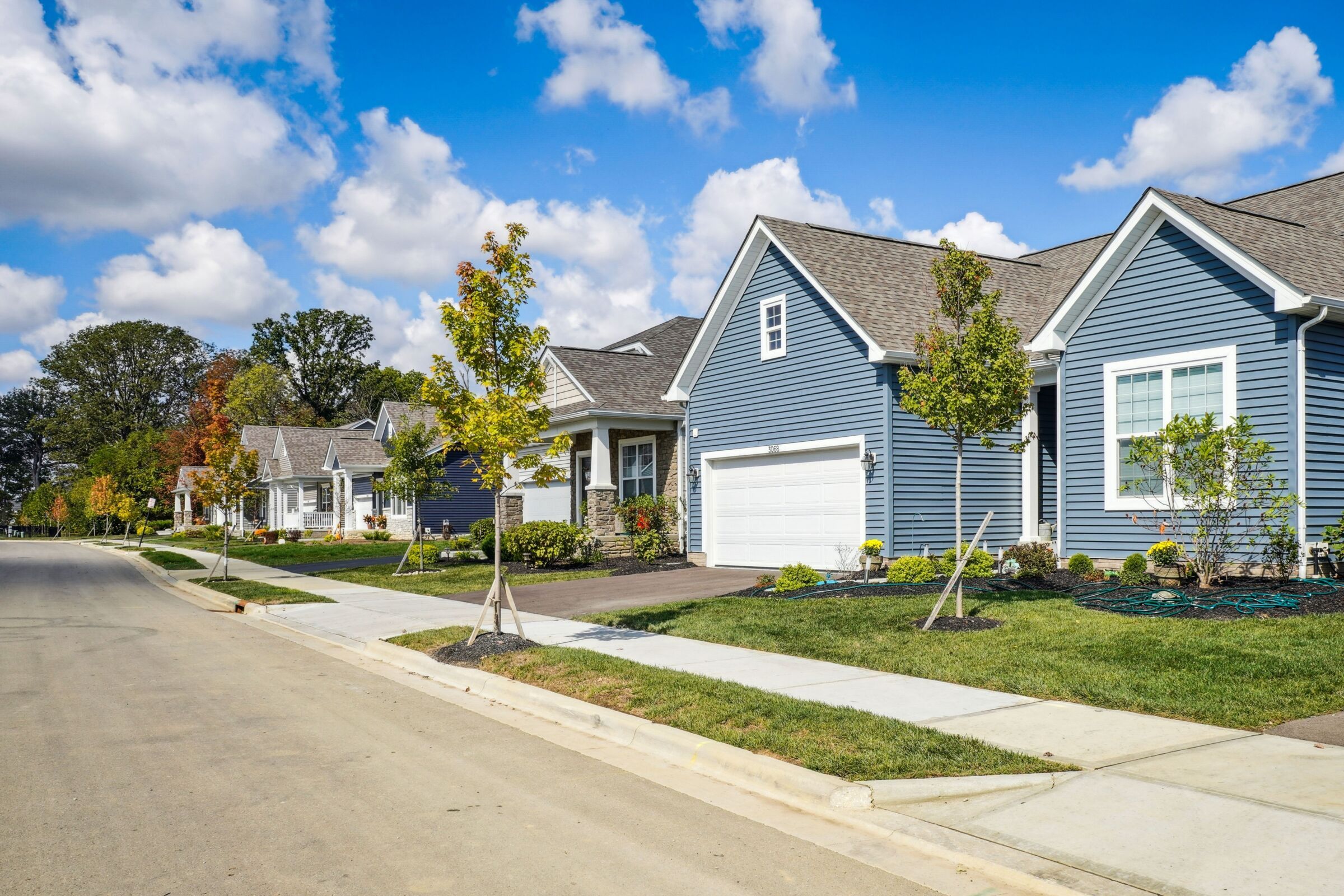 Community Streetscape