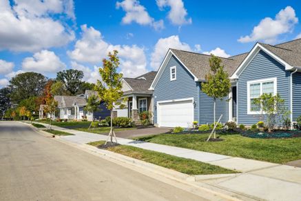 Community Streetscape