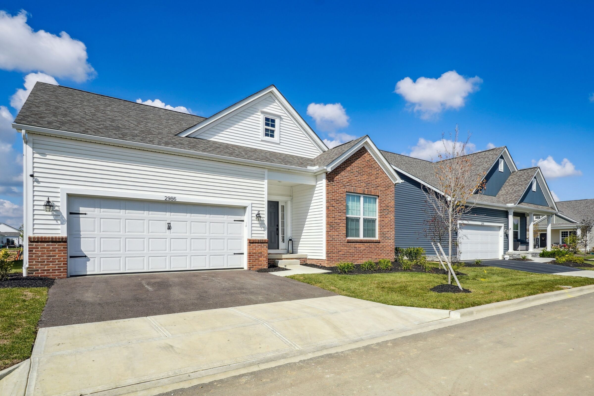 Community Streetscape