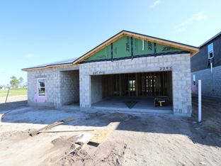 Madeira II - Connerton: Land O' Lakes, Florida - M/I Homes